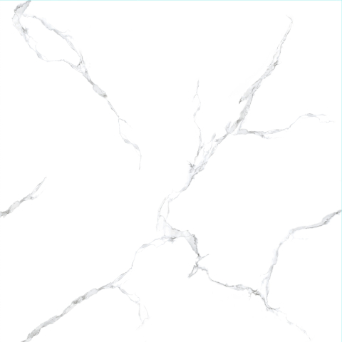 21.I.880.8102